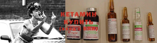 a pvp Белокуриха