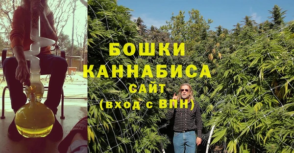 a pvp Белокуриха