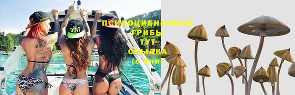 спиды Беломорск