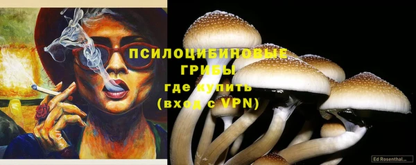 спиды Беломорск